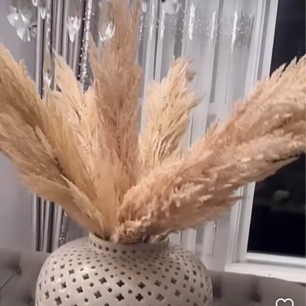 Z Gallerie Pampas Grass set of 14